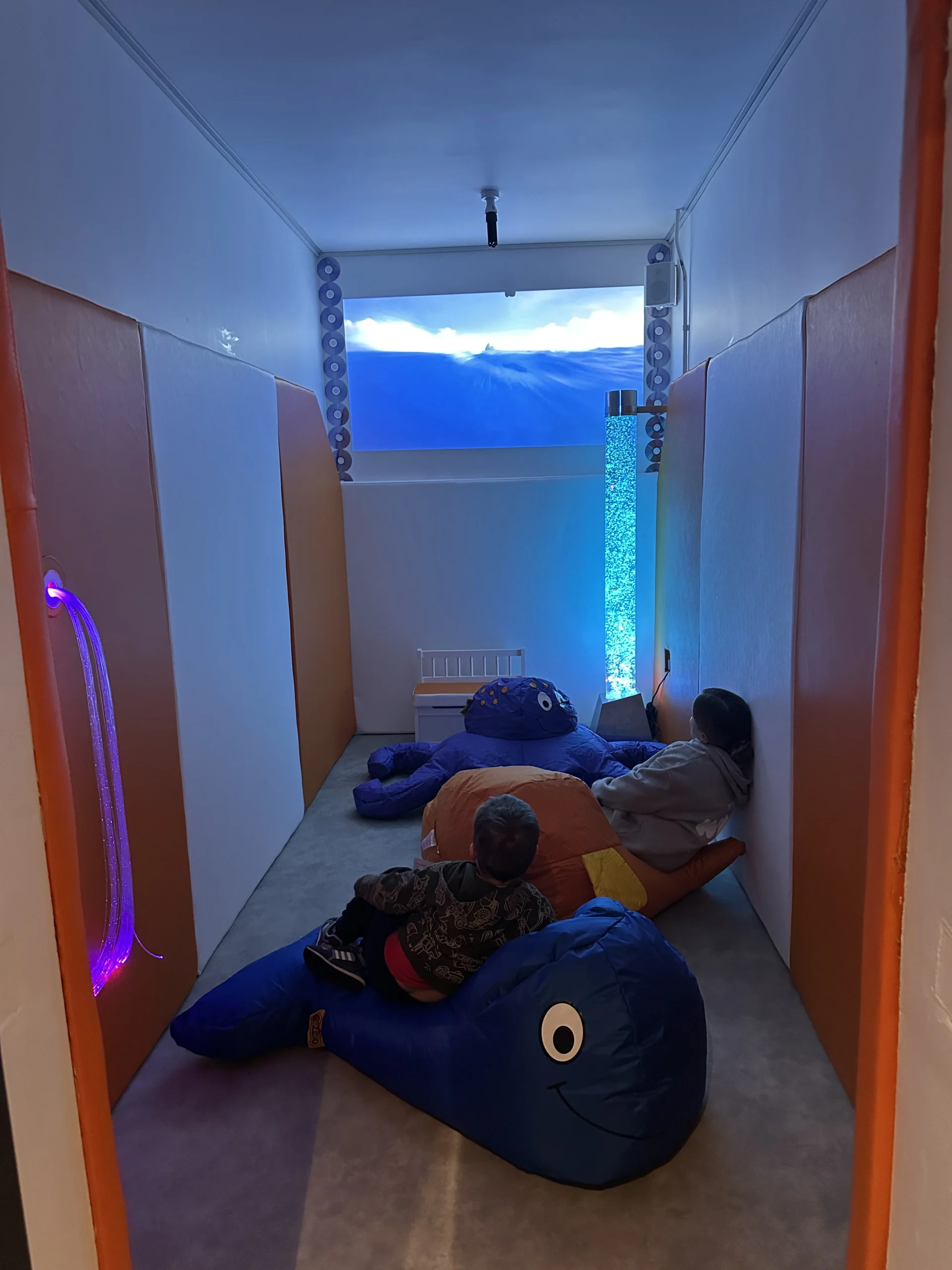 Sensory Room Projector - Moorelands Travel